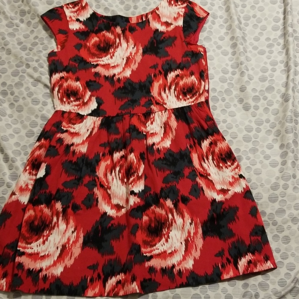 Gap Kids girl dress size XL (12)